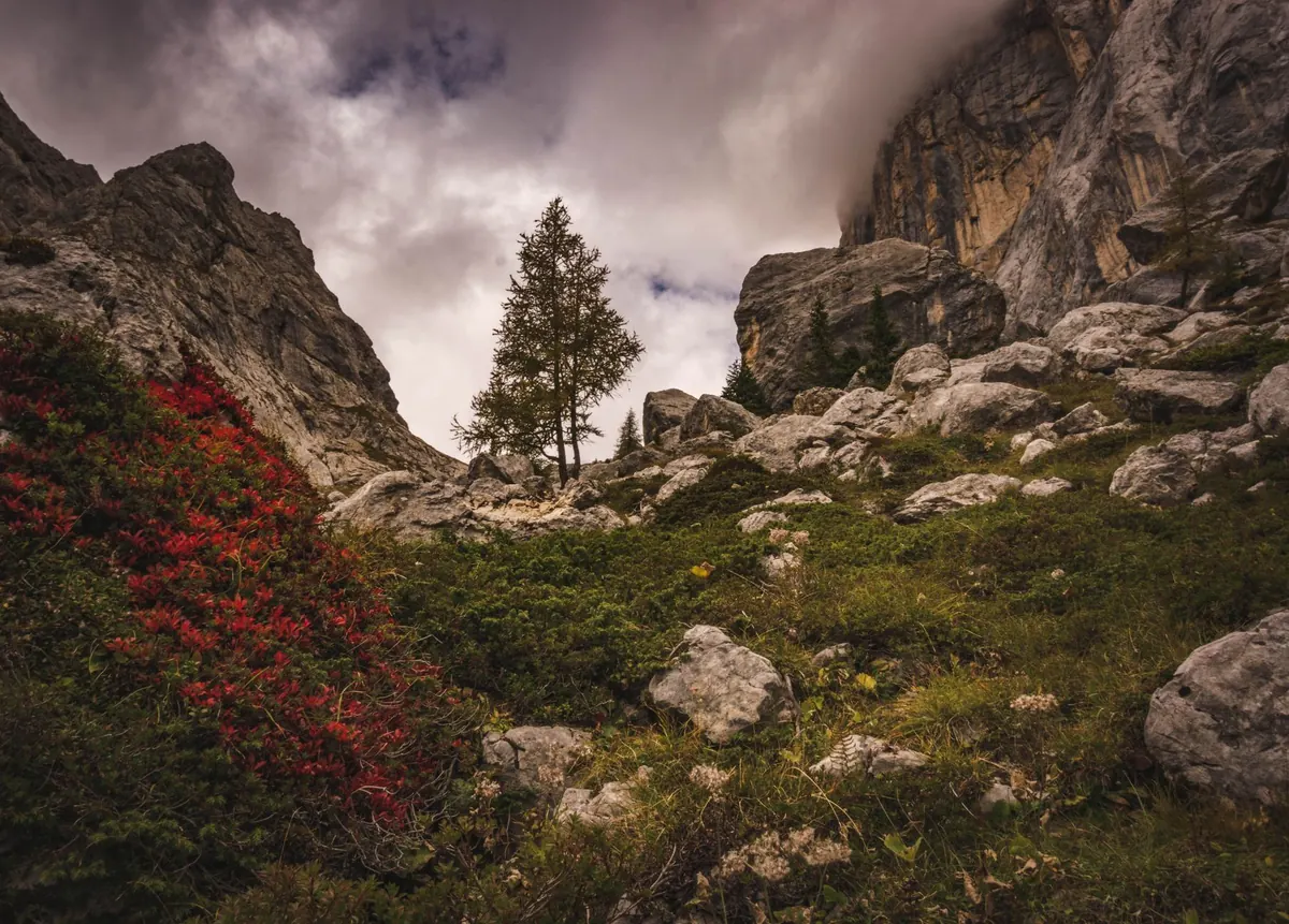 How to Use Foreground Interest to Improve Landscape Photos