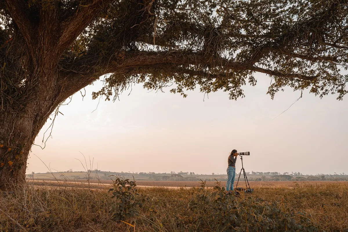Is a Tripod Worth It for Landscape Photography? A Practical Comparison